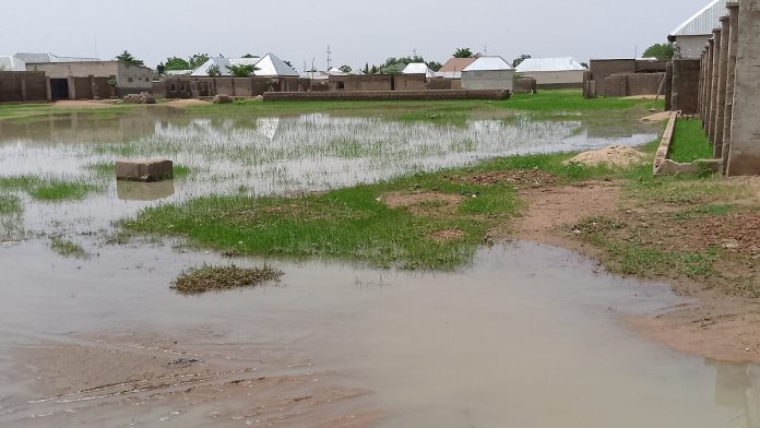 Floodwater surrounds buildings in Nigeria (file photo)