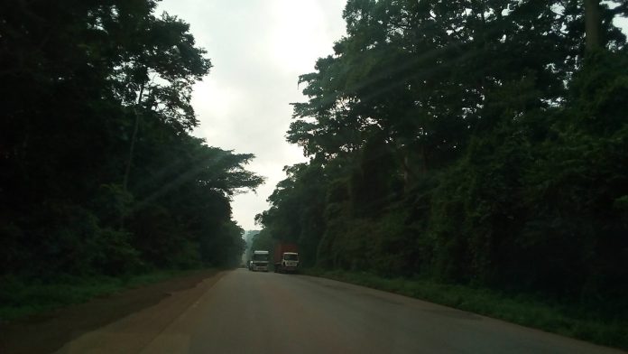 A highway through forest in Uganda (file photo)