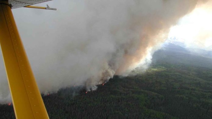 Smoke rises from a forest fire (file photo)
