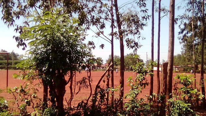 Football training (Kenya) (file photo)