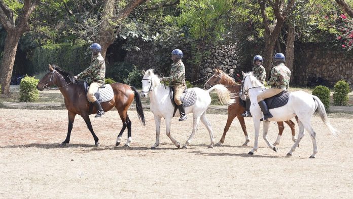 Police Patrol (file photo)