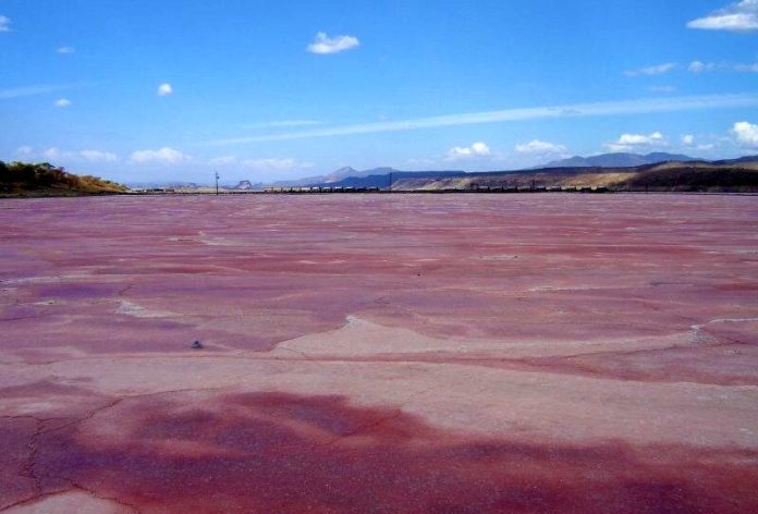 The pink soda ash waters of Lake Magadi