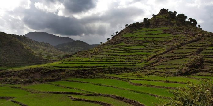 Enderta in Ethiopia's Tigray region