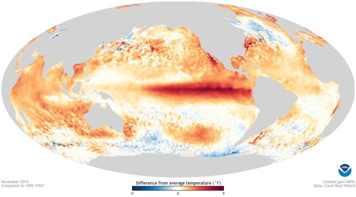 Sea surface temperature anomalies during the 2015 El Niño