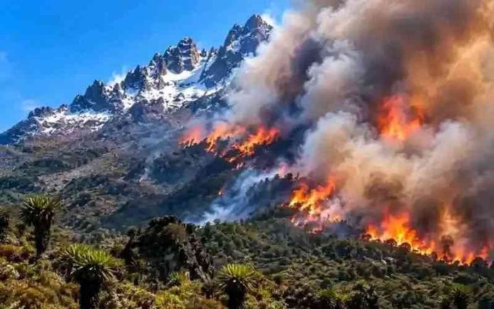 Firefighters on Mount Kenya