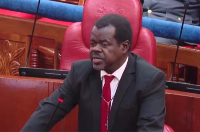 Senator Okiya Omtatah in the Senate chamber